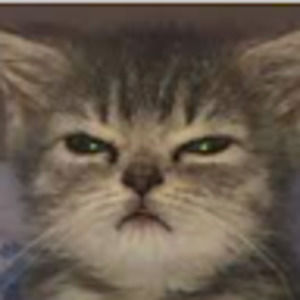 Meet your Posher, Kaylyn